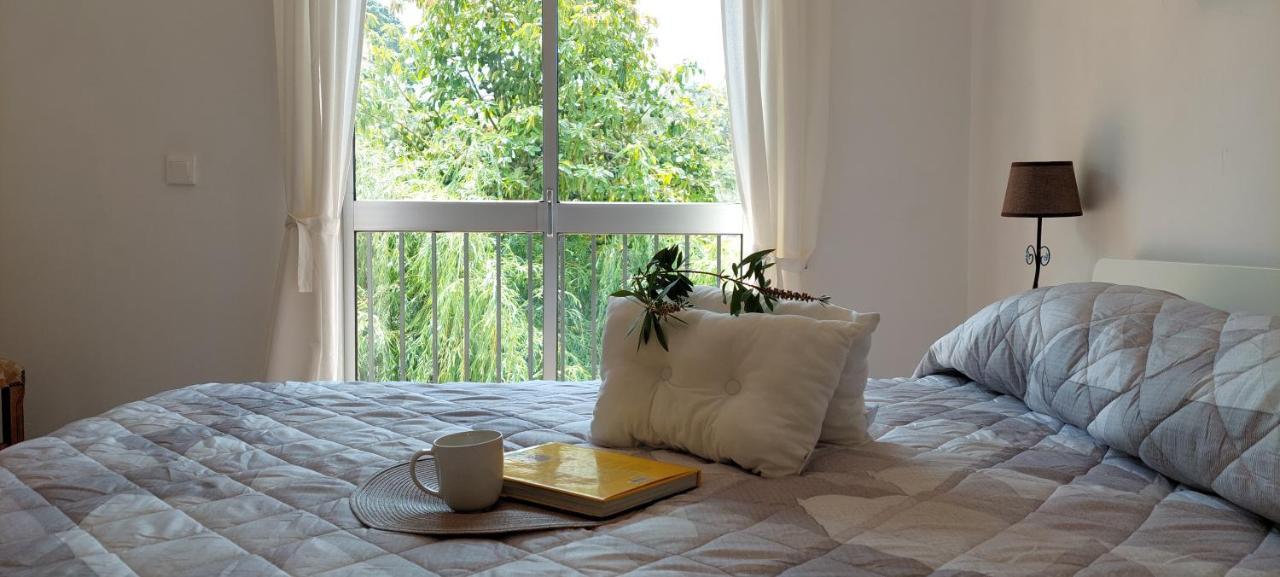 Appartement Lideal à Coïmbre Extérieur photo