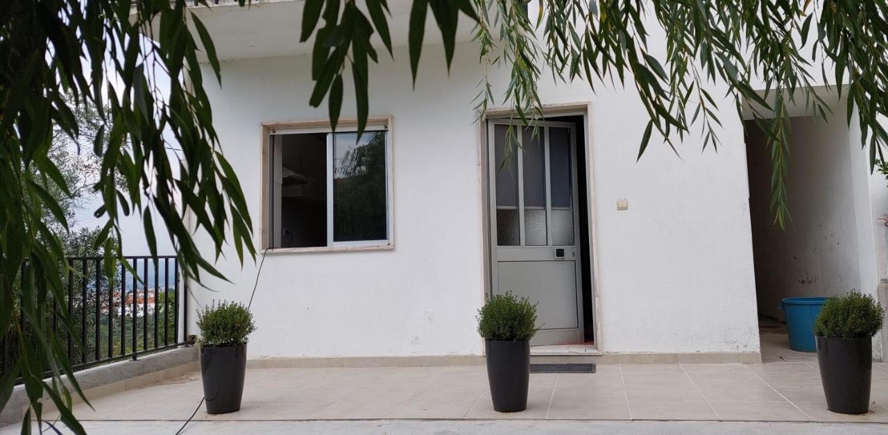 Appartement Lideal à Coïmbre Extérieur photo